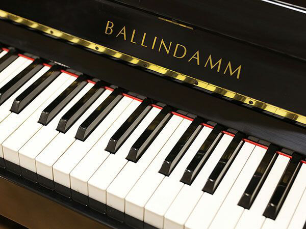 Music City – Tổng Kho Piano, Guitar, Organ | Dịch Vụ Giáo Dục Âm Nhạc