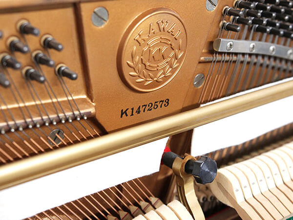 Music City – Tổng Kho Piano, Guitar, Organ | Dịch Vụ Giáo Dục Âm Nhạc
