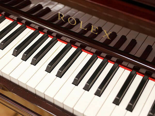 Music City – Tổng Kho Piano, Guitar, Organ | Dịch Vụ Giáo Dục Âm Nhạc