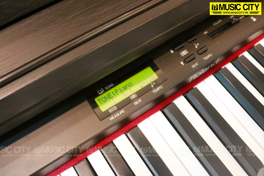 Music City – Tổng Kho Piano, Guitar, Organ | Dịch Vụ Giáo Dục Âm Nhạc