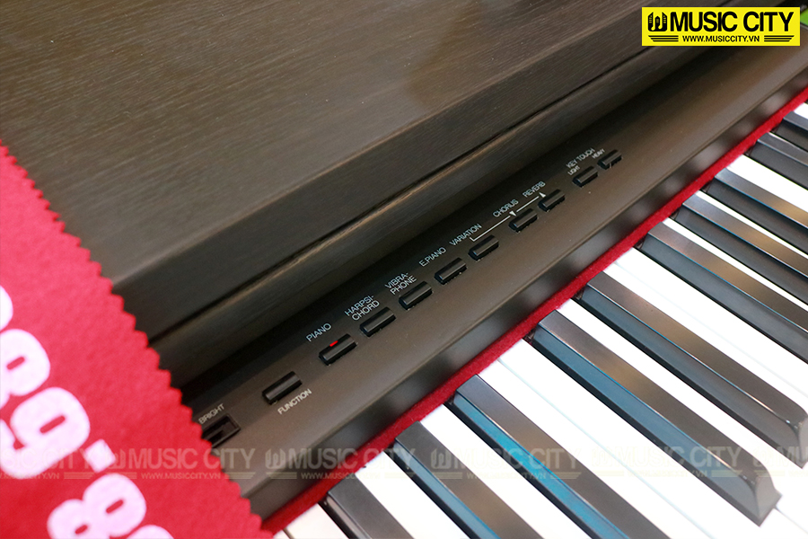 Music City – Tổng Kho Piano, Guitar, Organ | Dịch Vụ Giáo Dục Âm Nhạc