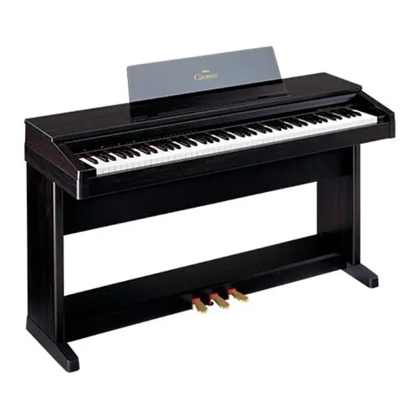 Music City – Tổng Kho Piano, Guitar, Organ | Dịch Vụ Giáo Dục Âm Nhạc