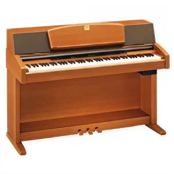 Music City – Tổng Kho Piano, Guitar, Organ | Dịch Vụ Giáo Dục Âm Nhạc