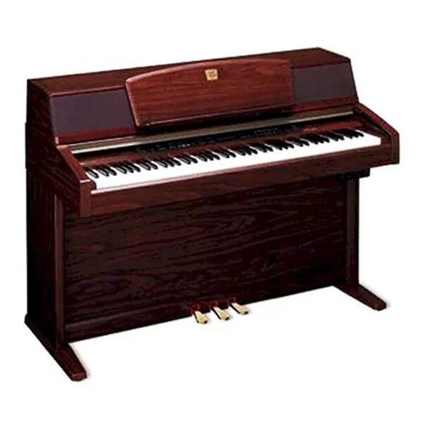 Music City – Tổng Kho Piano, Guitar, Organ | Dịch Vụ Giáo Dục Âm Nhạc