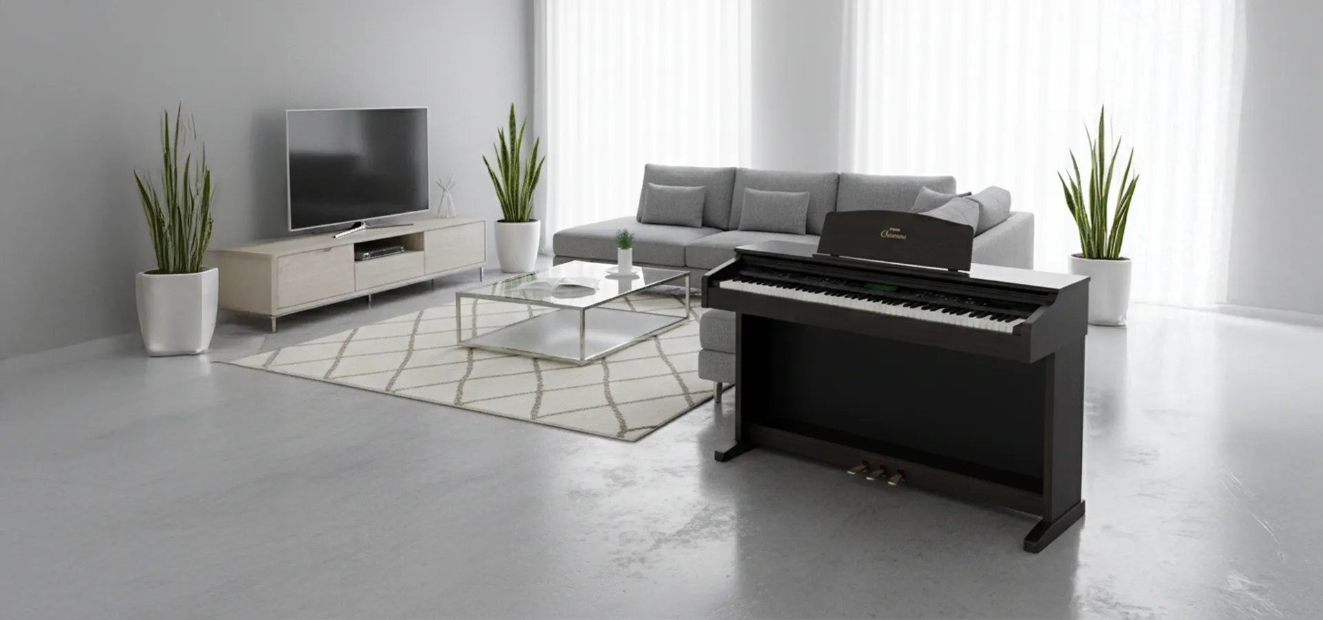 Music City – Tổng Kho Piano, Guitar, Organ | Dịch Vụ Giáo Dục Âm Nhạc