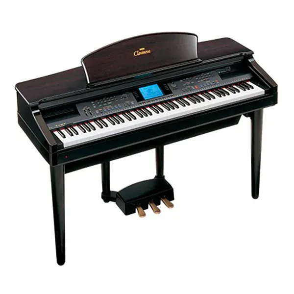 Music City – Tổng Kho Piano, Guitar, Organ | Dịch Vụ Giáo Dục Âm Nhạc