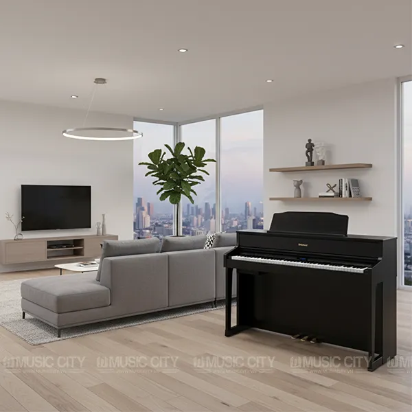 Music City – Tổng Kho Piano, Guitar, Organ | Dịch Vụ Giáo Dục Âm Nhạc