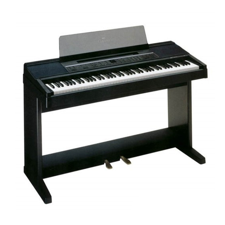 Music City – Tổng Kho Piano, Guitar, Organ | Dịch Vụ Giáo Dục Âm Nhạc