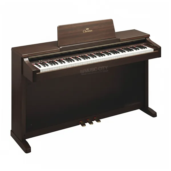 Music City – Tổng Kho Piano, Guitar, Organ | Dịch Vụ Giáo Dục Âm Nhạc