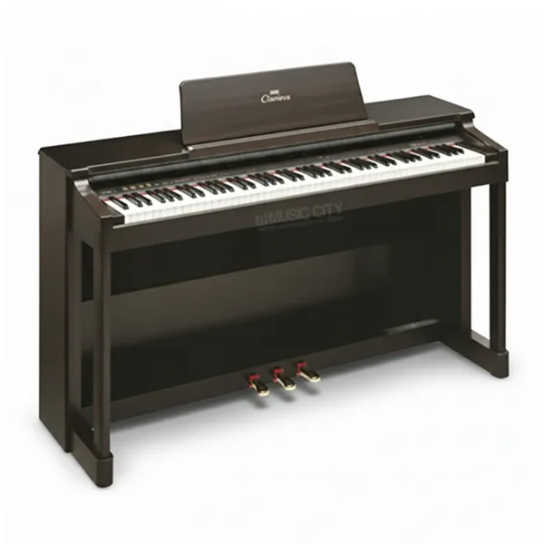 Music City – Tổng Kho Piano, Guitar, Organ | Dịch Vụ Giáo Dục Âm Nhạc