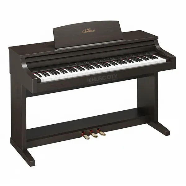 Music City – Tổng Kho Piano, Guitar, Organ | Dịch Vụ Giáo Dục Âm Nhạc