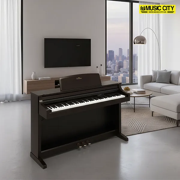 Music City – Tổng Kho Piano, Guitar, Organ | Dịch Vụ Giáo Dục Âm Nhạc