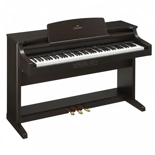 Music City – Tổng Kho Piano, Guitar, Organ | Dịch Vụ Giáo Dục Âm Nhạc