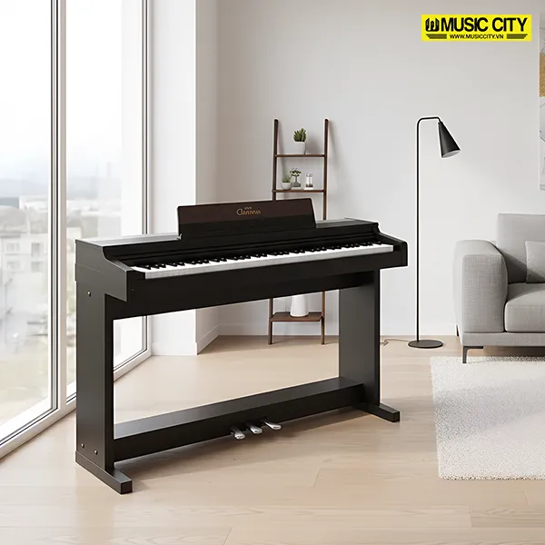 Music City – Tổng Kho Piano, Guitar, Organ | Dịch Vụ Giáo Dục Âm Nhạc