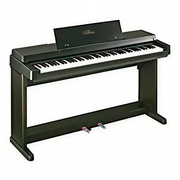 Music City – Tổng Kho Piano, Guitar, Organ | Dịch Vụ Giáo Dục Âm Nhạc