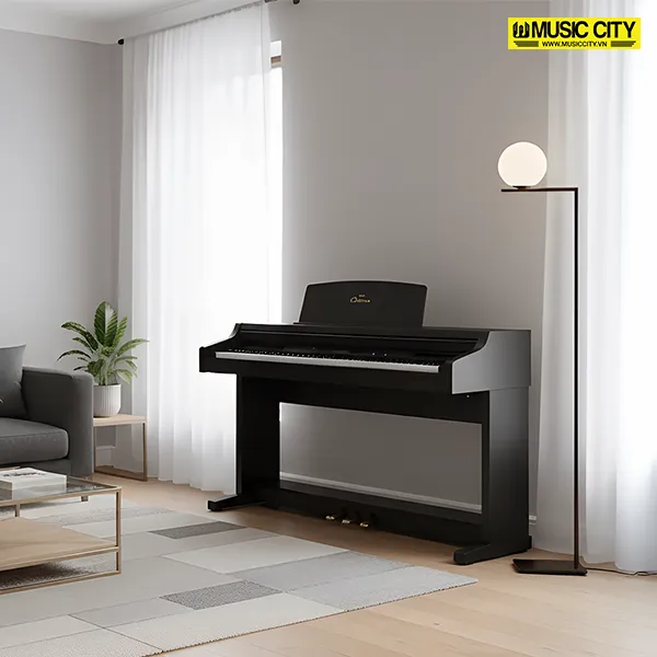 Music City – Tổng Kho Piano, Guitar, Organ | Dịch Vụ Giáo Dục Âm Nhạc