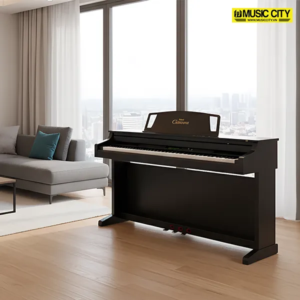 Music City – Tổng Kho Piano, Guitar, Organ | Dịch Vụ Giáo Dục Âm Nhạc
