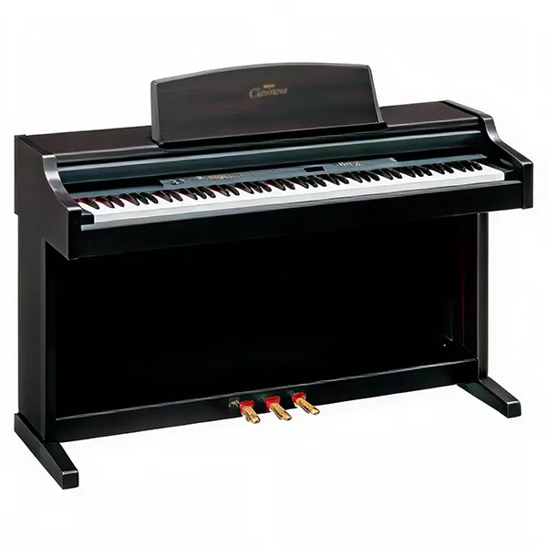 Music City – Tổng Kho Piano, Guitar, Organ | Dịch Vụ Giáo Dục Âm Nhạc