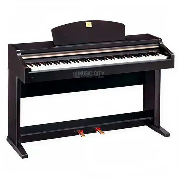 Music City – Tổng Kho Piano, Guitar, Organ | Dịch Vụ Giáo Dục Âm Nhạc