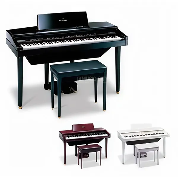Music City – Tổng Kho Piano, Guitar, Organ | Dịch Vụ Giáo Dục Âm Nhạc
