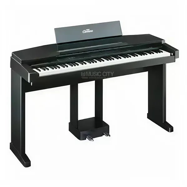Music City – Tổng Kho Piano, Guitar, Organ | Dịch Vụ Giáo Dục Âm Nhạc
