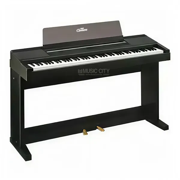 Music City – Tổng Kho Piano, Guitar, Organ | Dịch Vụ Giáo Dục Âm Nhạc