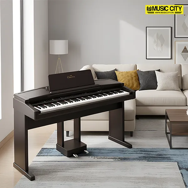 Music City – Tổng Kho Piano, Guitar, Organ | Dịch Vụ Giáo Dục Âm Nhạc