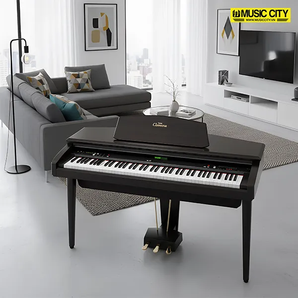 Music City – Tổng Kho Piano, Guitar, Organ | Dịch Vụ Giáo Dục Âm Nhạc
