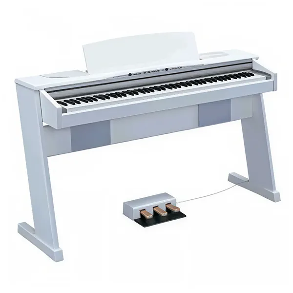 Music City – Tổng Kho Piano, Guitar, Organ | Dịch Vụ Giáo Dục Âm Nhạc