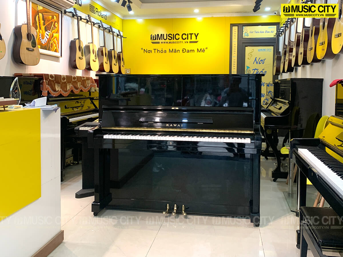 Music City – Tổng Kho Piano, Guitar, Organ | Dịch Vụ Giáo Dục Âm Nhạc