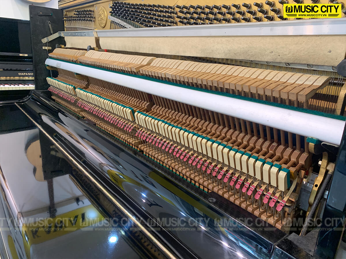 Music City – Tổng Kho Piano, Guitar, Organ | Dịch Vụ Giáo Dục Âm Nhạc