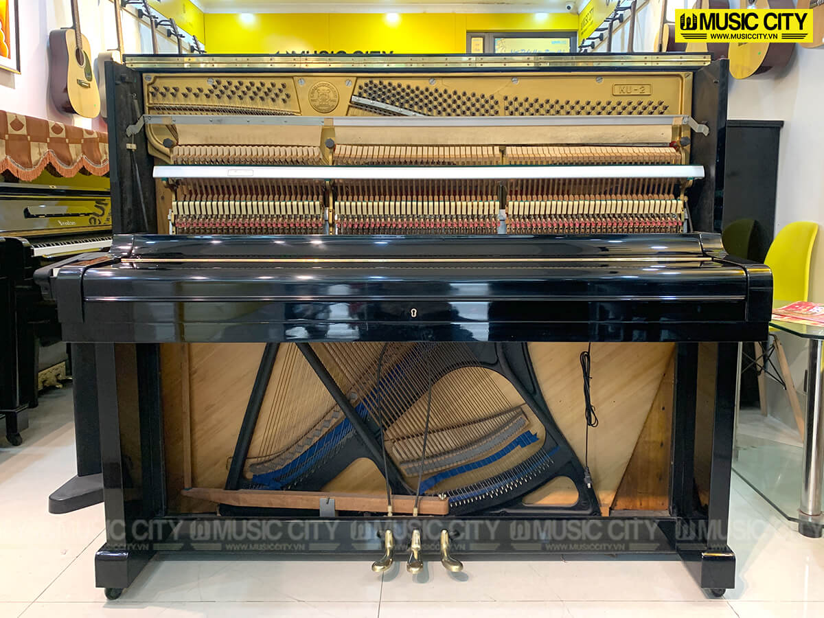 Music City – Tổng Kho Piano, Guitar, Organ | Dịch Vụ Giáo Dục Âm Nhạc