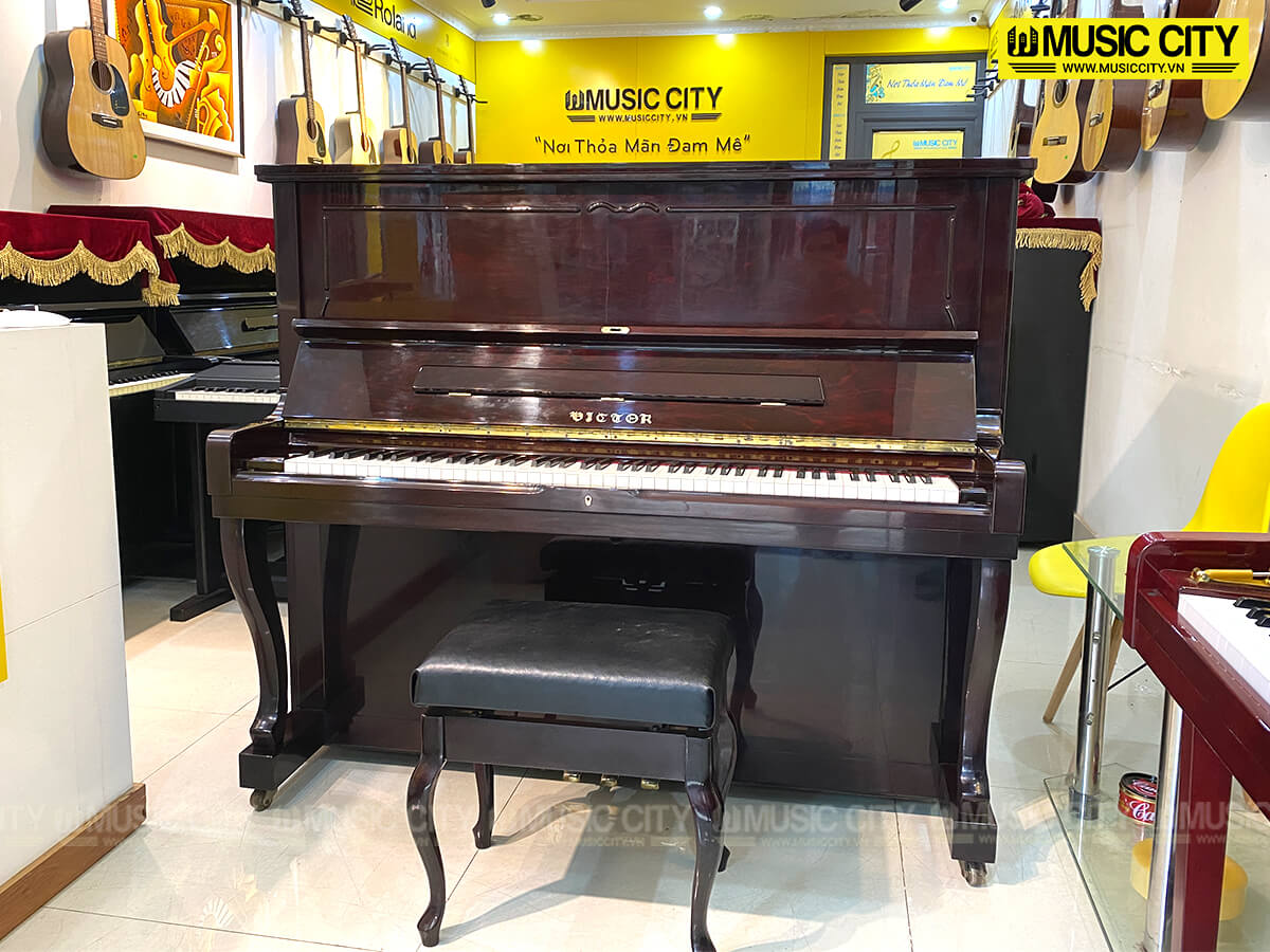 Music City – Tổng Kho Piano, Guitar, Organ | Dịch Vụ Giáo Dục Âm Nhạc