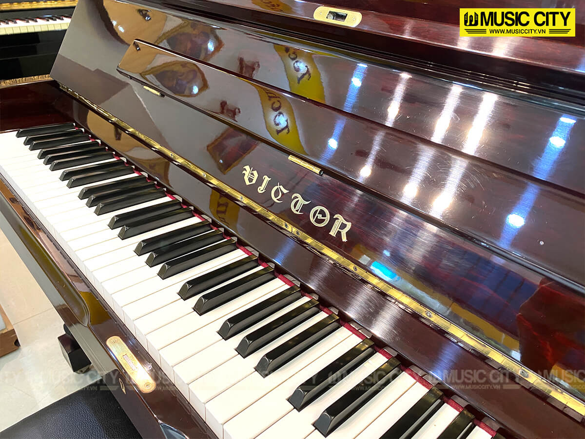 Music City – Tổng Kho Piano, Guitar, Organ | Dịch Vụ Giáo Dục Âm Nhạc