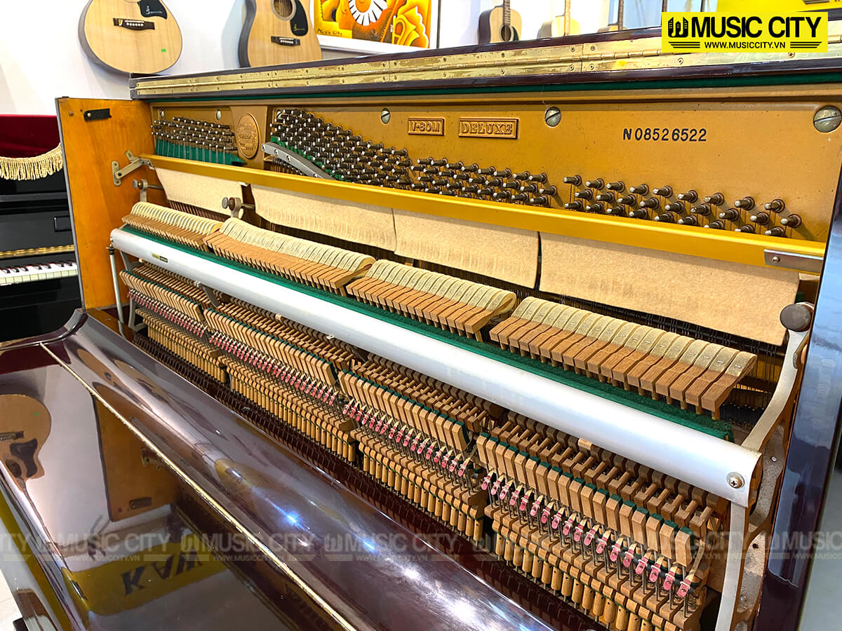 Music City – Tổng Kho Piano, Guitar, Organ | Dịch Vụ Giáo Dục Âm Nhạc