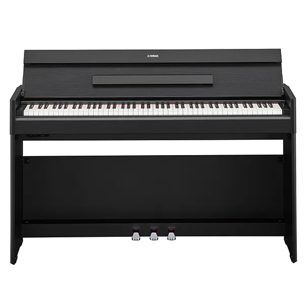 Music City – Tổng Kho Piano, Guitar, Organ | Dịch Vụ Giáo Dục Âm Nhạc