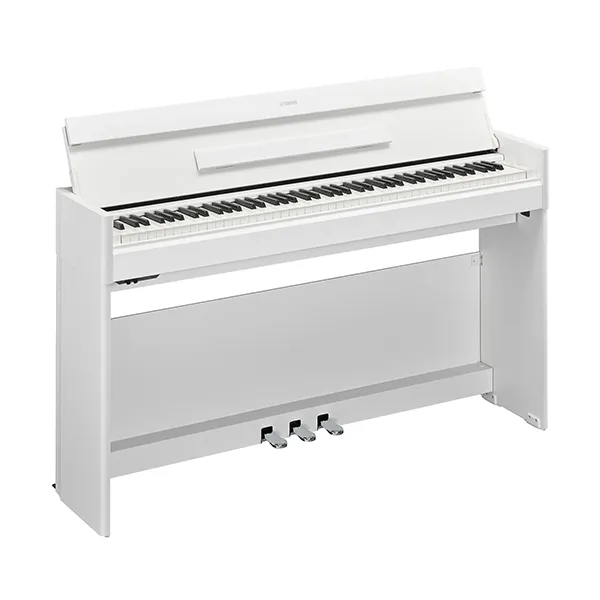Music City – Tổng Kho Piano, Guitar, Organ | Dịch Vụ Giáo Dục Âm Nhạc