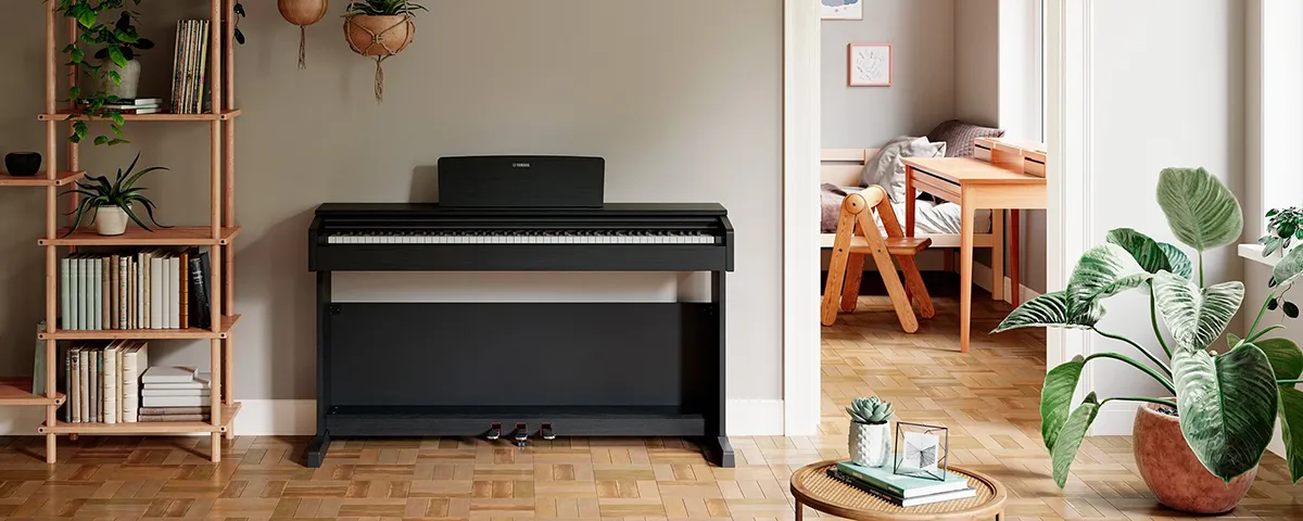 Music City – Tổng Kho Piano, Guitar, Organ | Dịch Vụ Giáo Dục Âm Nhạc