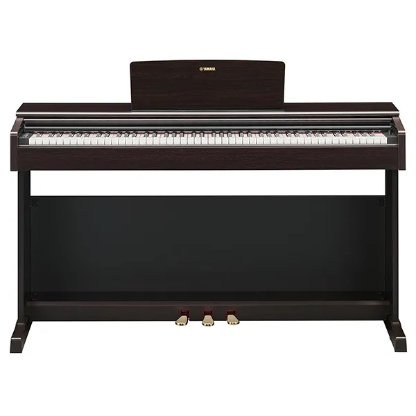 Music City – Tổng Kho Piano, Guitar, Organ | Dịch Vụ Giáo Dục Âm Nhạc