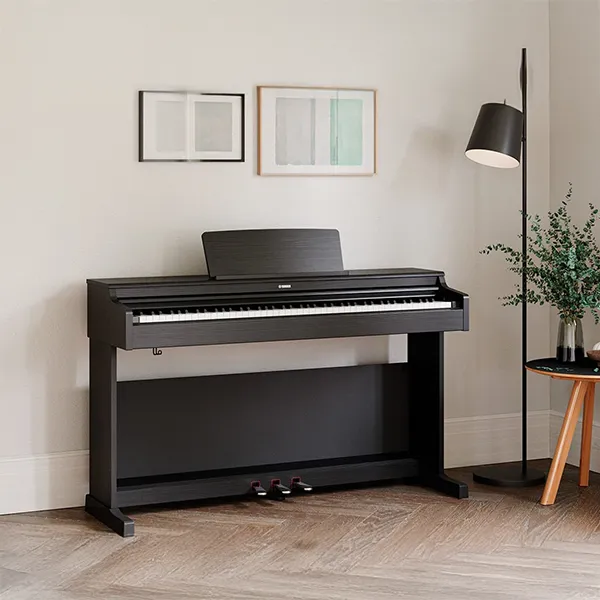 Music City – Tổng Kho Piano, Guitar, Organ | Dịch Vụ Giáo Dục Âm Nhạc