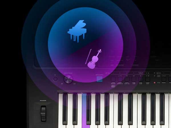 Music City – Tổng Kho Piano, Guitar, Organ | Dịch Vụ Giáo Dục Âm Nhạc