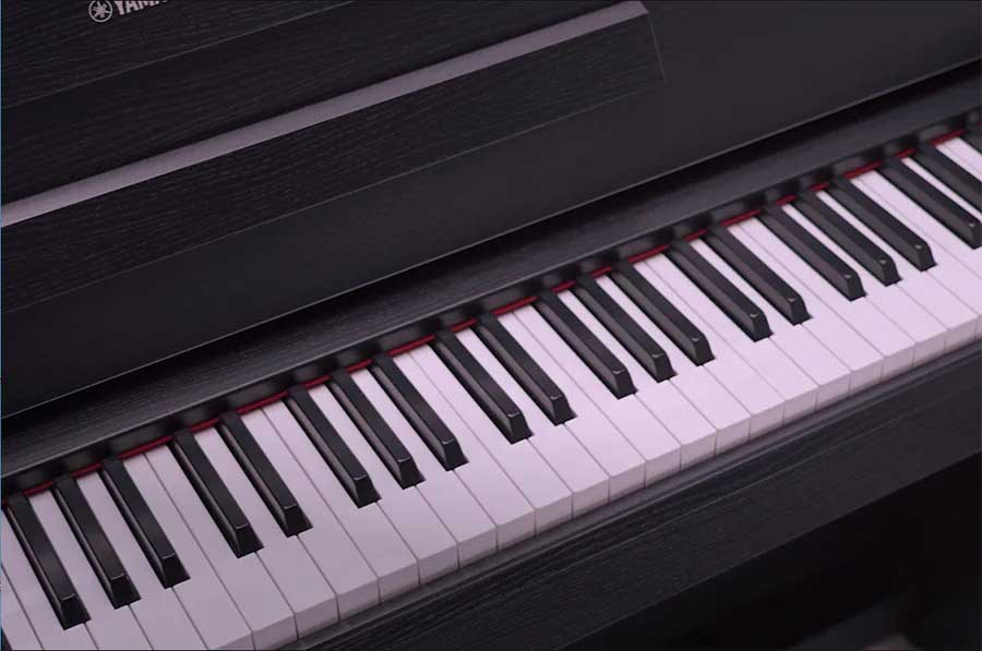 Music City – Tổng Kho Piano, Guitar, Organ | Dịch Vụ Giáo Dục Âm Nhạc