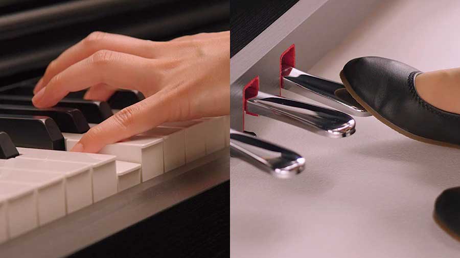 Music City – Tổng Kho Piano, Guitar, Organ | Dịch Vụ Giáo Dục Âm Nhạc