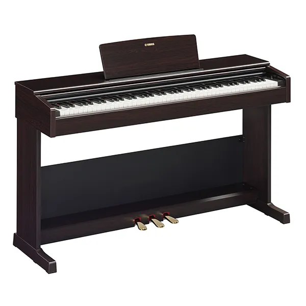 Music City – Tổng Kho Piano, Guitar, Organ | Dịch Vụ Giáo Dục Âm Nhạc
