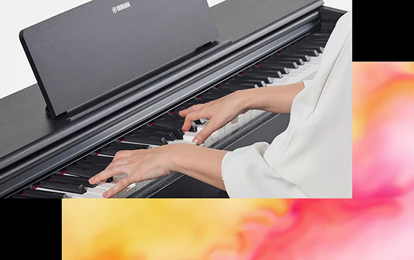 Music City – Tổng Kho Piano, Guitar, Organ | Dịch Vụ Giáo Dục Âm Nhạc