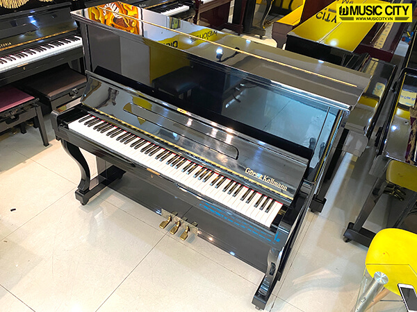 Music City – Tổng Kho Piano, Guitar, Organ | Dịch Vụ Giáo Dục Âm Nhạc