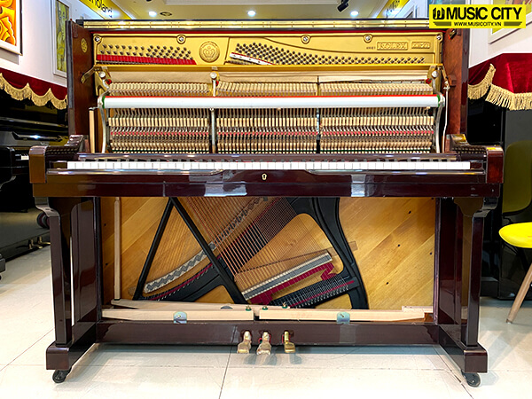Music City – Tổng Kho Piano, Guitar, Organ | Dịch Vụ Giáo Dục Âm Nhạc