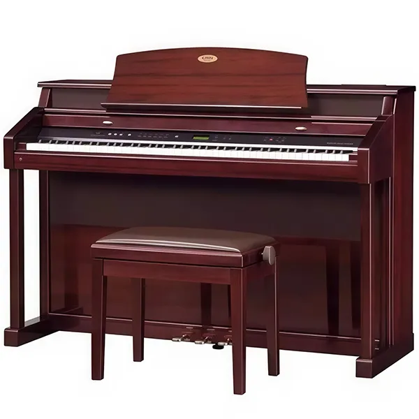 Music City – Tổng Kho Piano, Guitar, Organ | Dịch Vụ Giáo Dục Âm Nhạc