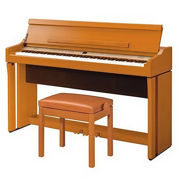 Music City – Tổng Kho Piano, Guitar, Organ | Dịch Vụ Giáo Dục Âm Nhạc