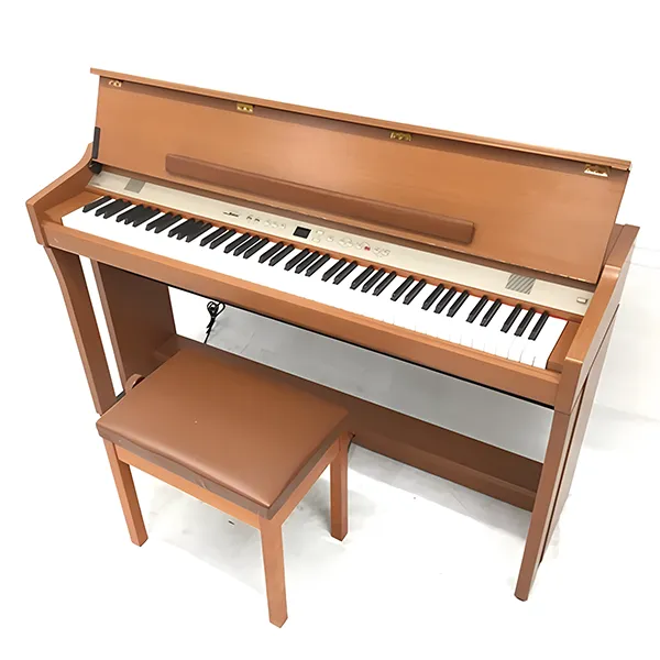 Music City – Tổng Kho Piano, Guitar, Organ | Dịch Vụ Giáo Dục Âm Nhạc